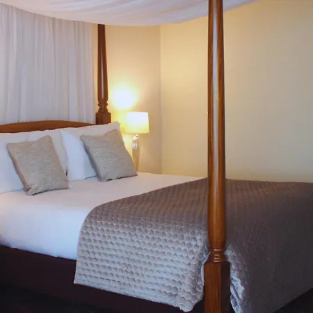 酒店 路易菲茨杰拉德酒店 克劳道金